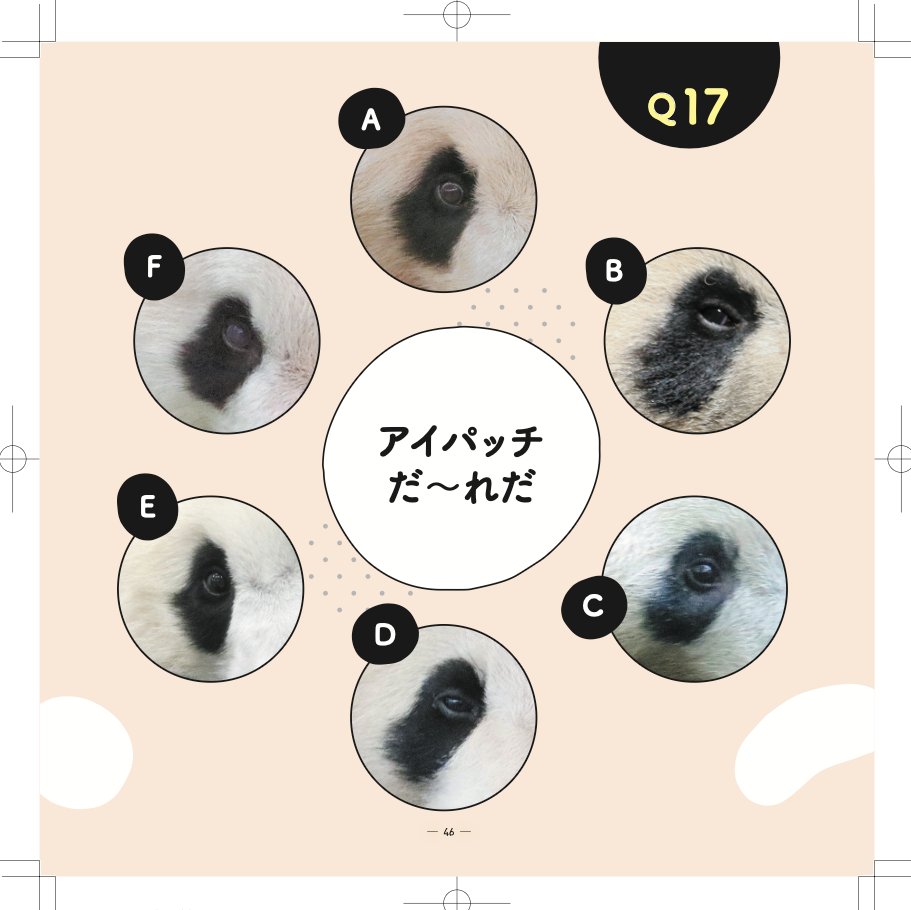 良浜🐼シャンシャン🐼楓浜🐼だけ分かりました〜