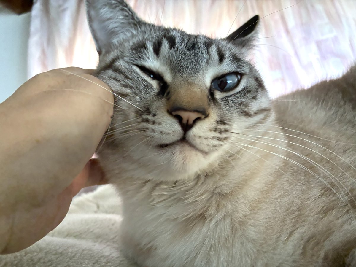 そら🐾 (@_sora0613_) / Posts / X