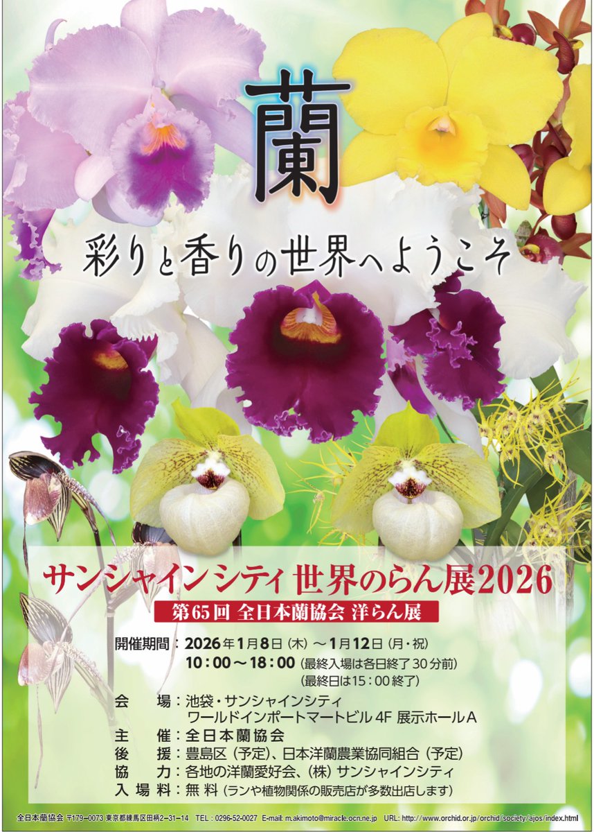 らんらんさん専用ページ Drスランプアラレちゃん 