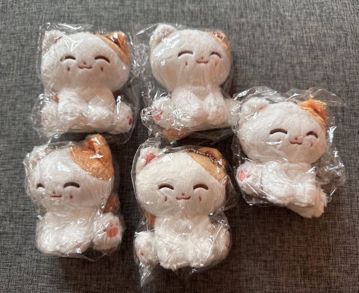 INA GO 🇮🇩 tweet media