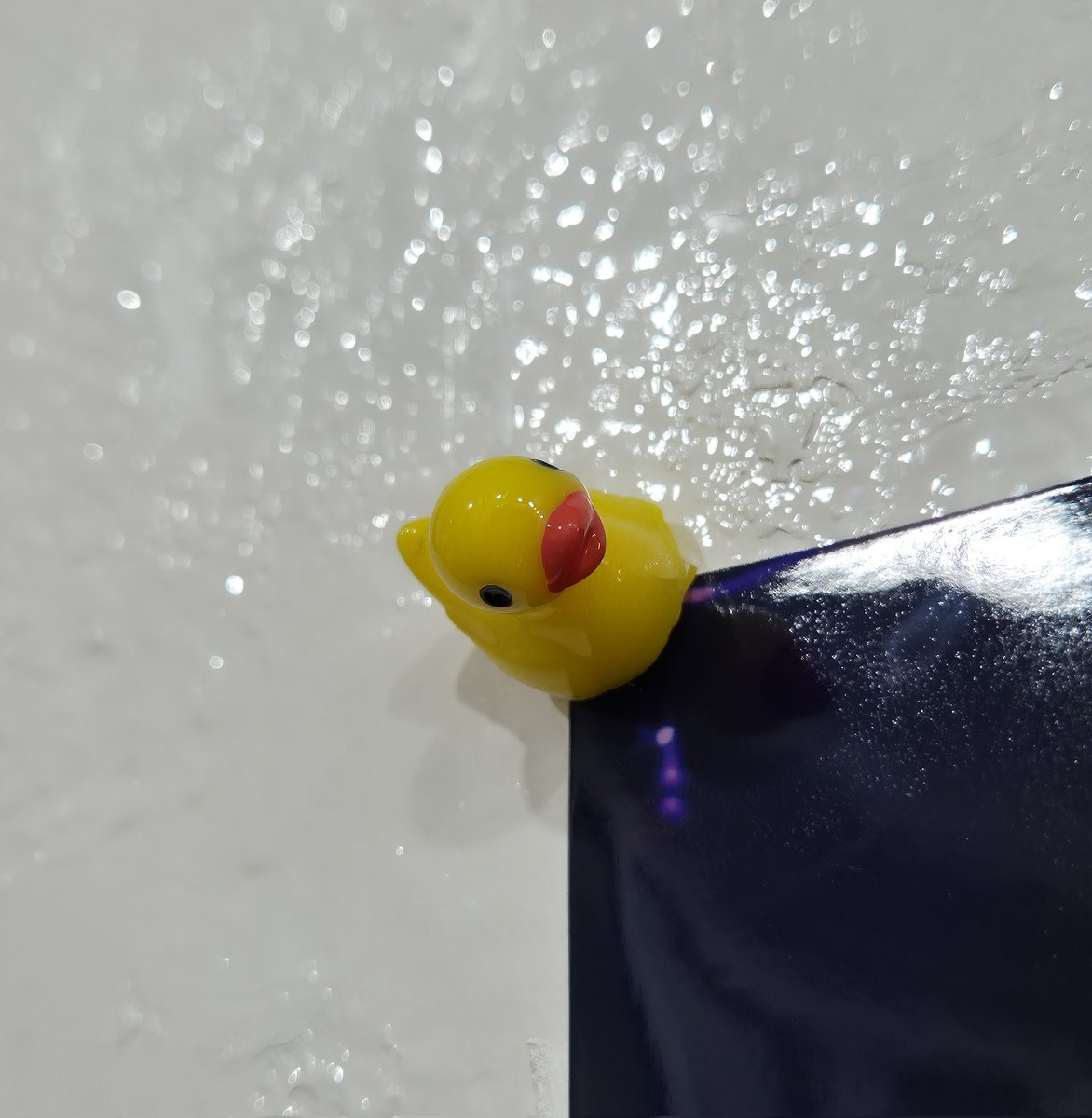 장두환 배우님 이벤트 계정 tweet media