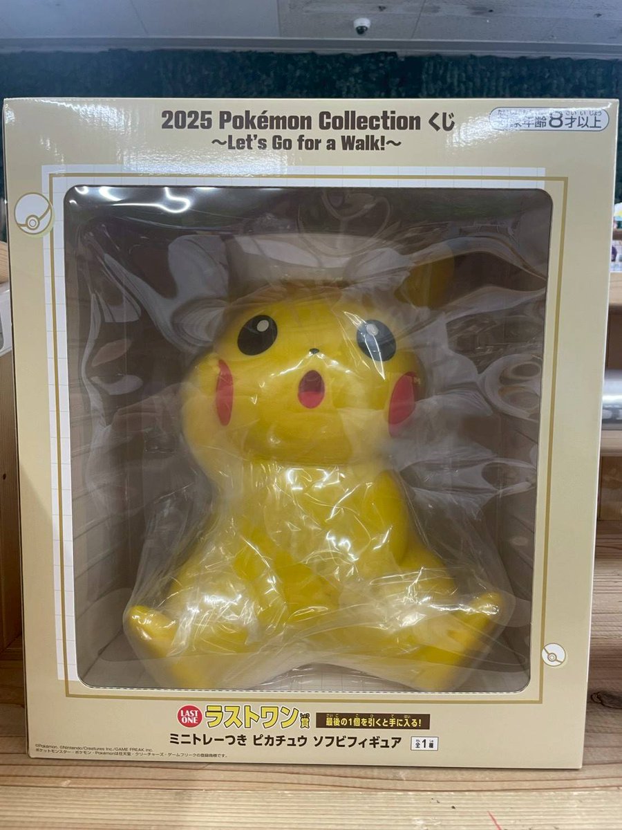 2025 Pokemon Collection くじ Let's Go for a Walk! ミニトレーつき