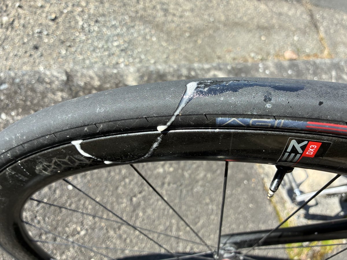 カピバラ (@CapybaraLIZED) / Posts / X