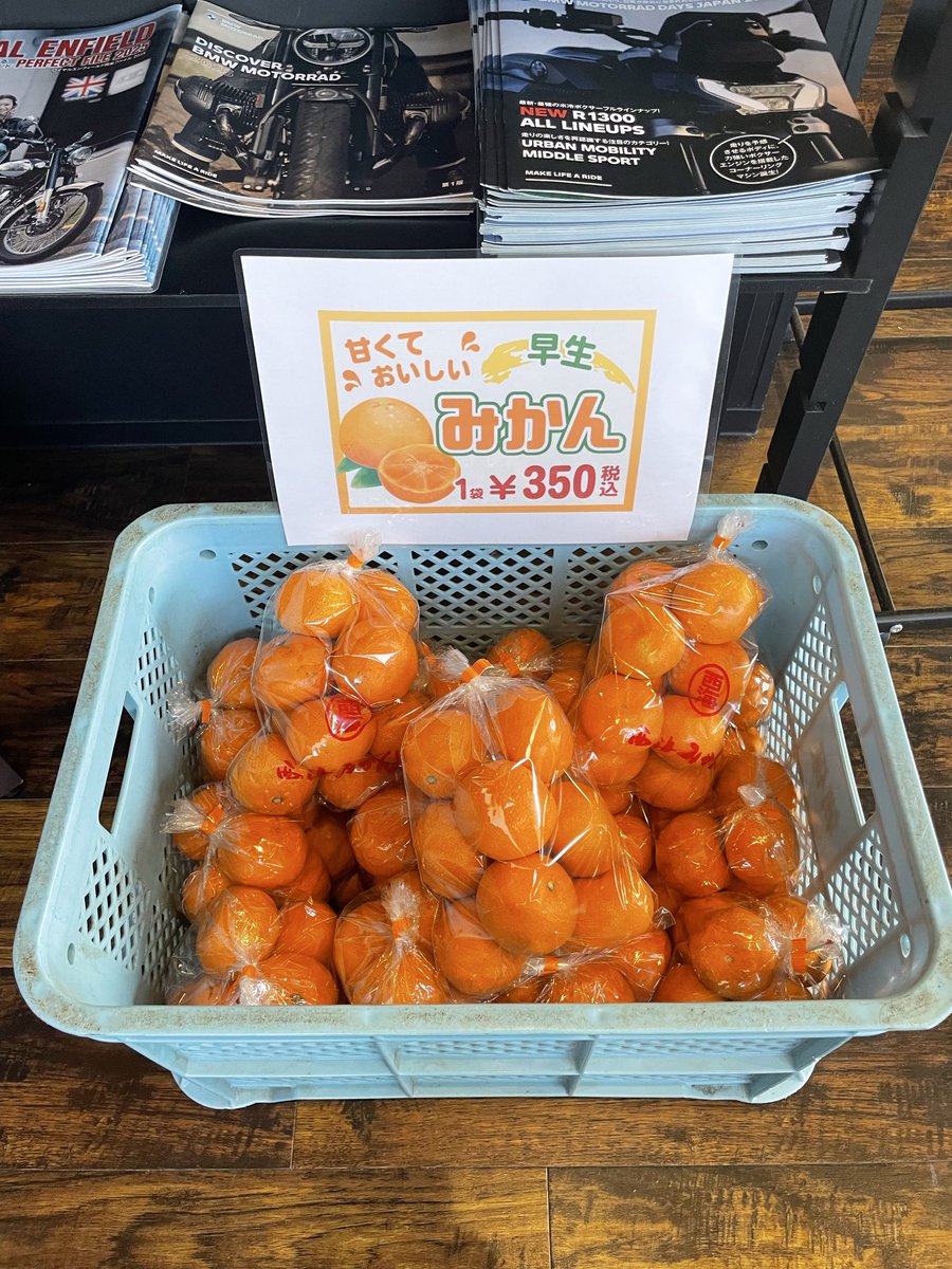 ちーちゃん🎀ZX-4RR (@bakusoumotochiz) / Posts / X