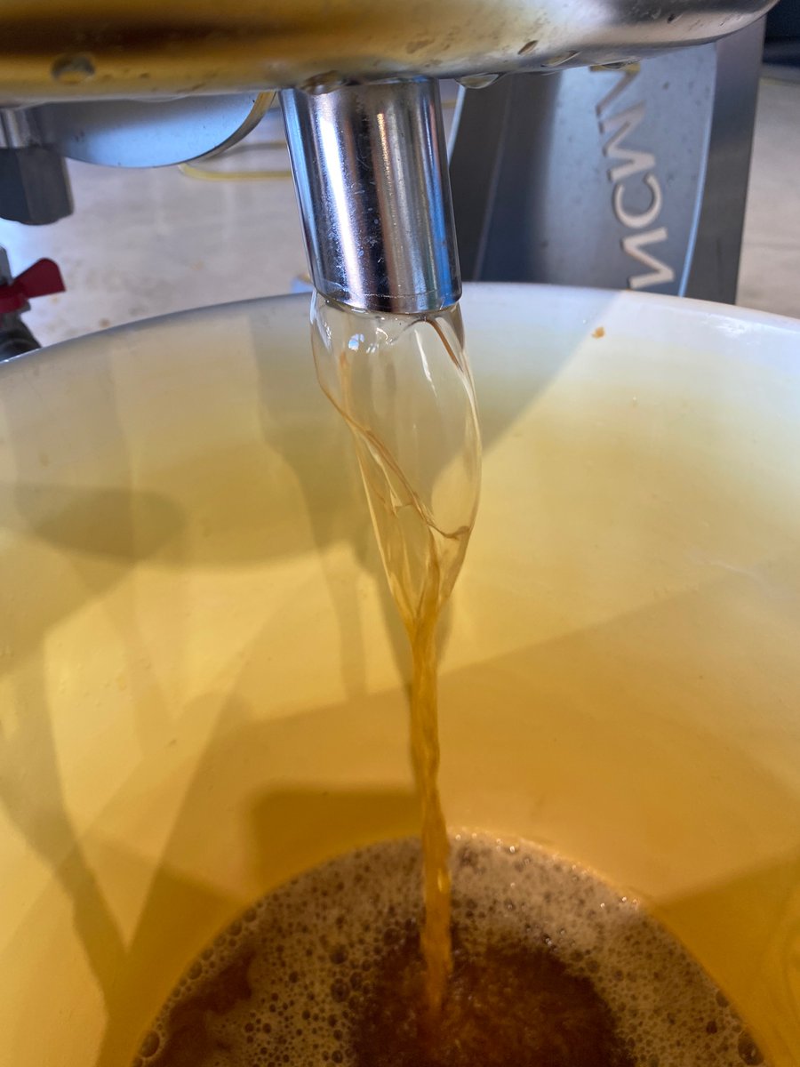 wavescider's tweet photo. Pressing our last bunch of Arkansas Black and Blushing Golden apples of the year! Deep color, big personality, and the kind of juice that gets us excited for big things coming in 2026 ✨ https://t.co/TF0RuskPUV