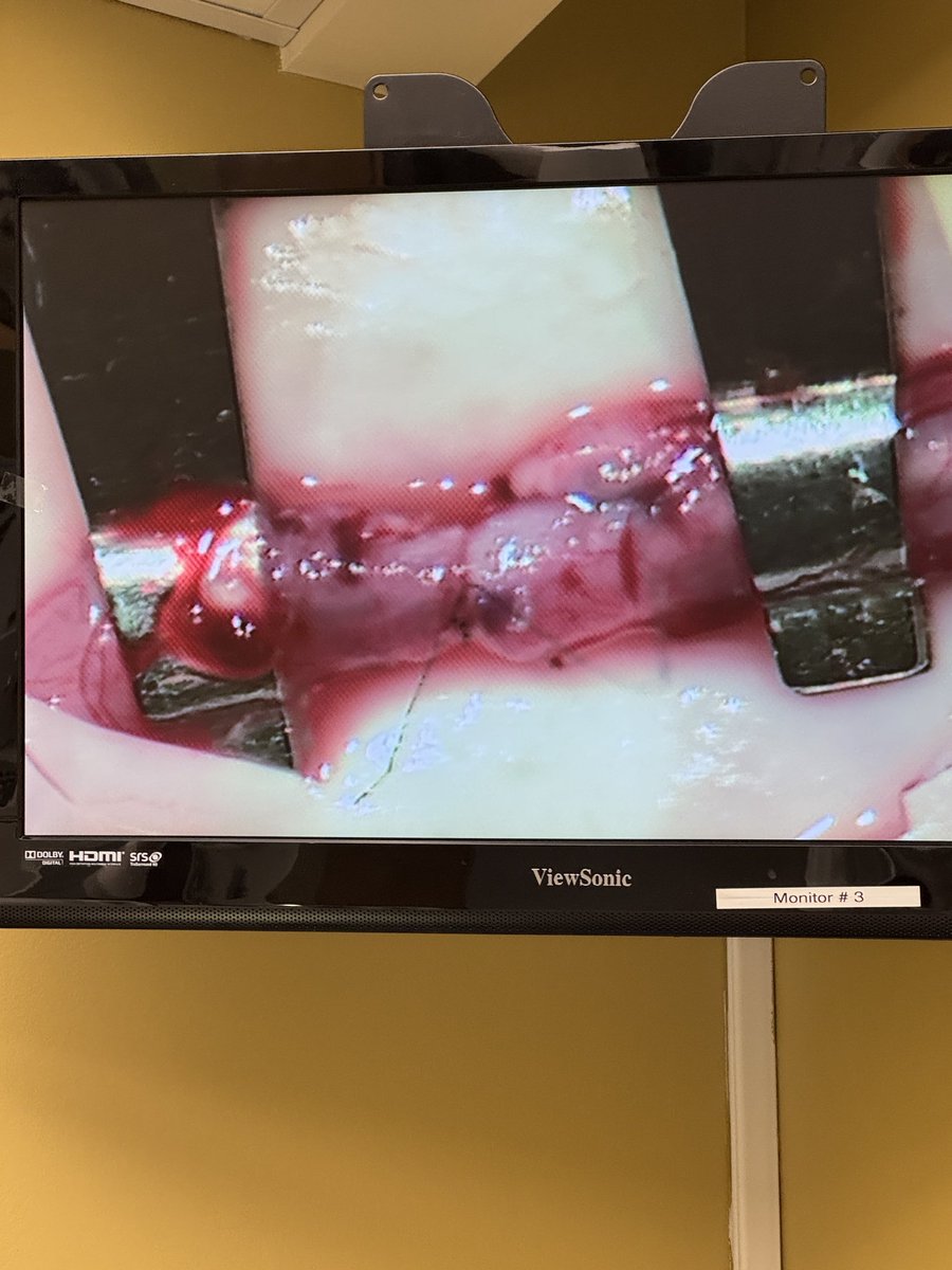 Philip S. Li tweet media