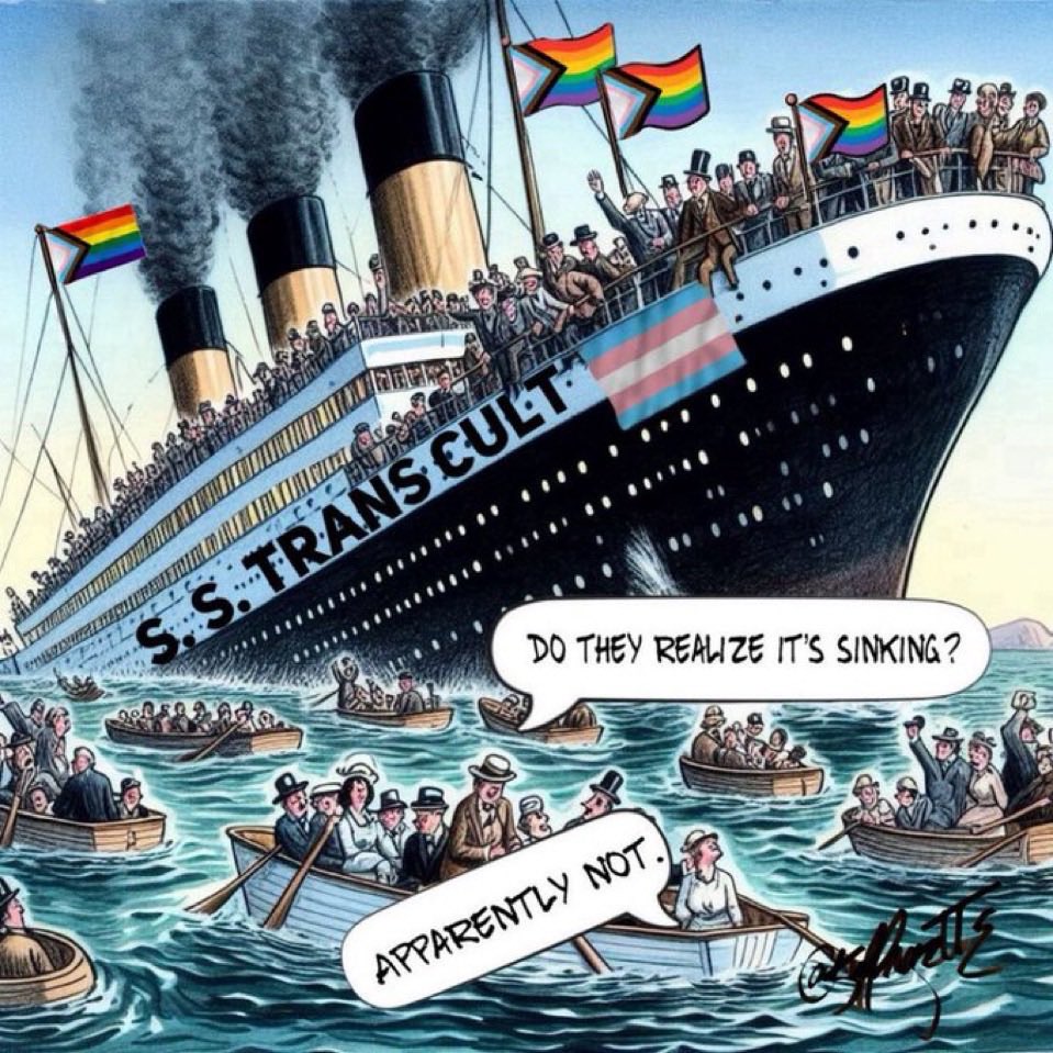 NoMalarkeyMom's tweet image. If trans activists had pushed for reasonable accommodations, they would have won broad acceptance. Instead, they demanded the total erasure of sex-based boundaries, LGB rights, women’s and children’s safeguards, and the right to dissent—effectively declaring war on biological…