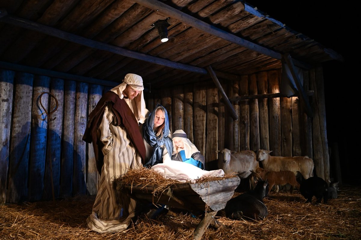 metrorhmdzoo's tweet photo. The Miracle of Christmas – Live at the Zoo begins tomorrow! ✨🎄
Dec 20–22 | 7:00, 7:45 &amp; 8:30 PM
🆓 FREE admission &amp; parking
📍 Metro Richmond Zoo
Canned food donations for Chesterfield Food Bank appreciated.
https://t.co/nEY3LaAzvy https://t.co/4DKDr0ZuCG