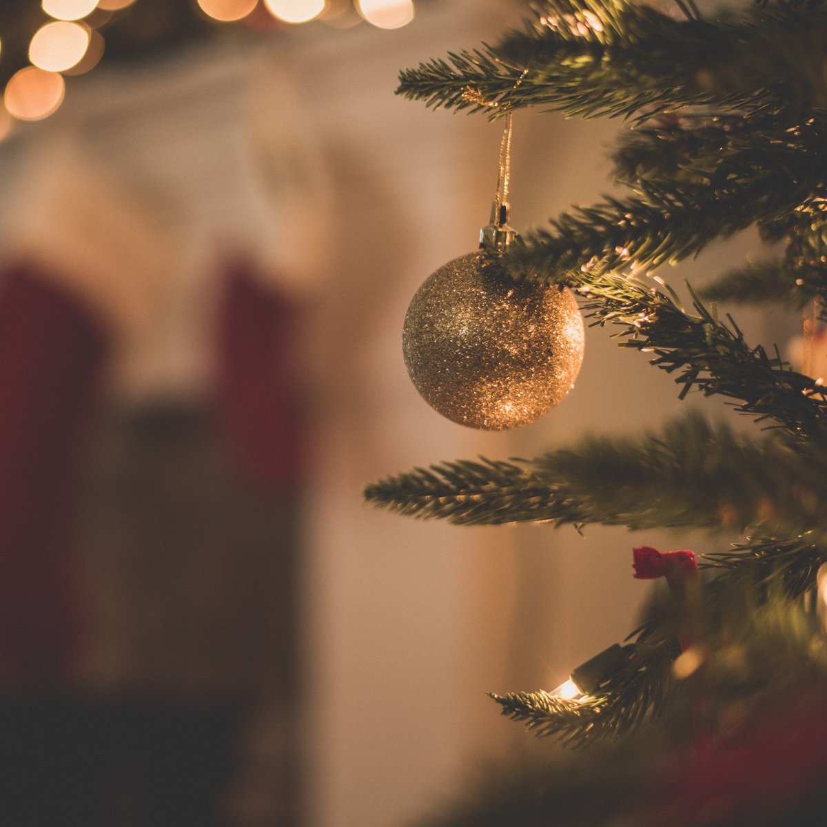 Intersect360 Research tweet media