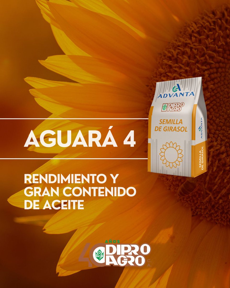 Conocé 𝐀𝐆𝐔𝐀𝐑𝐀 𝟒 🌻
🌻 Híbrido simple
🌻 Potencial de rendimiento entre 1.600 y 2.400 kg/ha
🌻 Ciclo: 130 a 135 días
🌻 Floración: 58 a 60 días
🌻 Contenido de aceite en la semilla entre 43,0 y 53,0 %
Contáctenos para más información

#Agricultura #Agro #Campo #Girasol