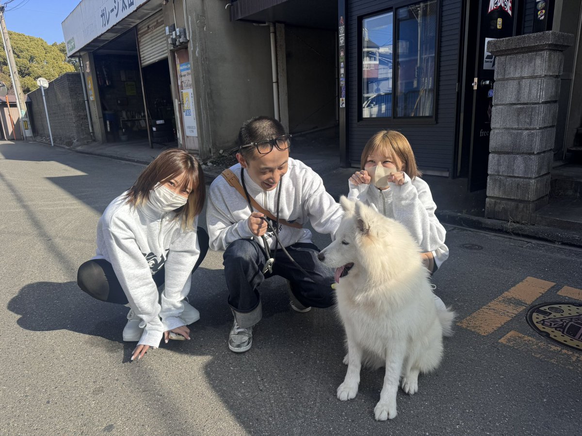 NOBOSEのレイ tweet media