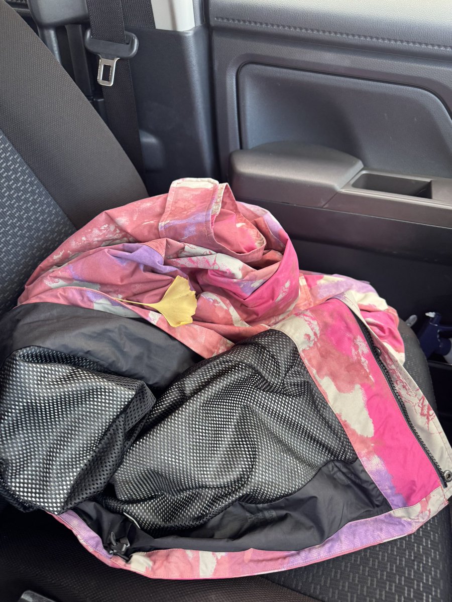 NOBOSEのレイ tweet media