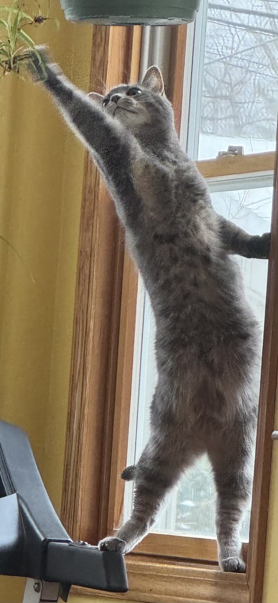 Bortzza's tweet image. Never give up on your dreams.