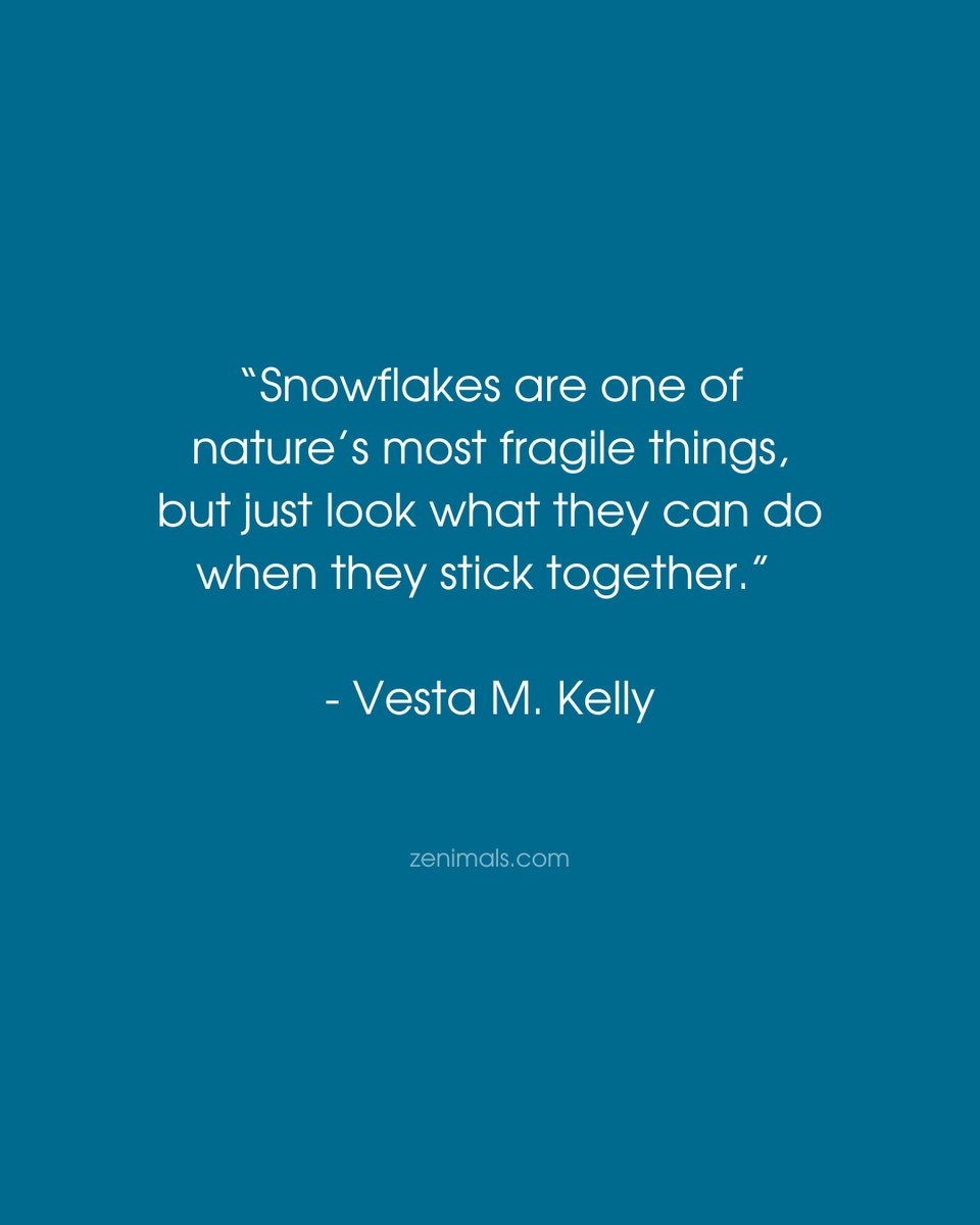This season is a gentle reminder that community matters. One snowflake melts quickly, but together they transform the world. We do the same when we show up, lean in, and support one another through every season of life. ❄️

#seasonofgiving #communitymatters #spreadkindness