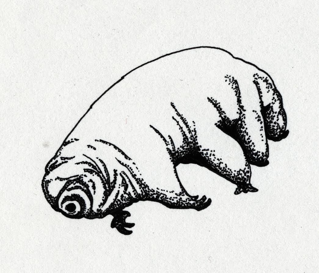 DevLopper8's tweet photo. $TARD is the coin everyone on ct has been looking for. Water bear that never dies how do u not love that. Either way its mooning https://t.co/sNIiQoYdFR
