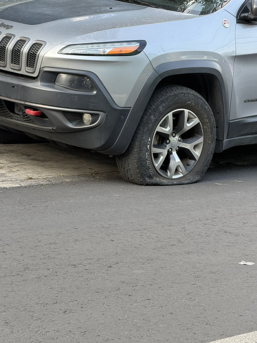 Fernando Valenzuela Migoya tweet media