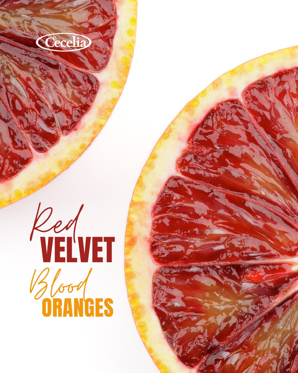 CeceliaPacking's tweet photo. Coming soon! Cecelia Red Velvet Blood Oranges ❤️🍊

#CeceliaPacking #InSeasonCitrus #BloodOrange https://t.co/uhWvGgBMfT