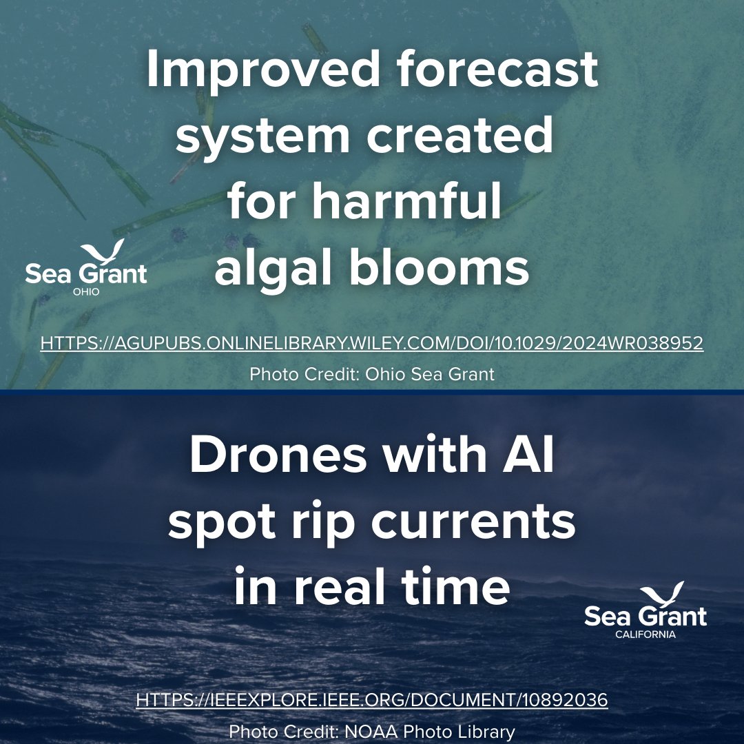 SeaGrant's tweet photo. 🎉We are saying goodbye to 2025 with a #SeaGrant #Publications Wrapped!
📄Swipe for five cool #research findings from @SeaGrantNC, @HawaiiSeaGrant, @ohioseagrant, @CASeaGrant and @rhodeislandsg funded projects! https://t.co/bFgKJ7finu
