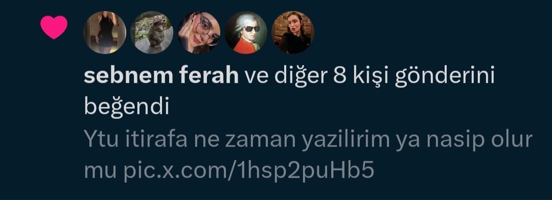 Bizdebirileriyiz sebnem ferah twitimi begendi