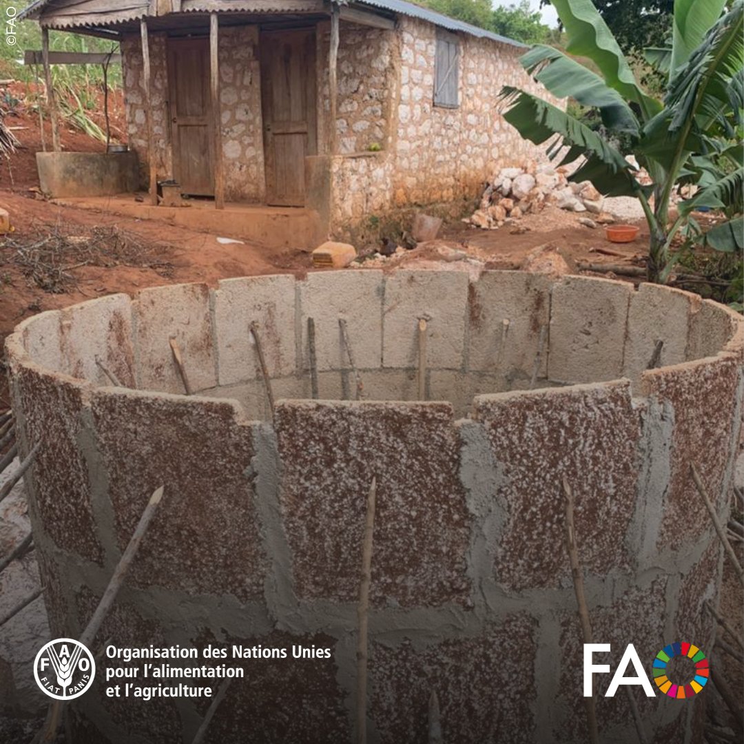 FAOHaiti's tweet image. Dans le Sud-Est d’#Haïti, à Mare Briole et ailleurs, @FAO, avec le soutien de @eu_ECHO, installe 50 citernes communautaires de 15 m³, offrant aux agriculteurs un accès durable à l’eau et renforçant leur résilience face à la #sécheresse. 
#SecuritéAlimentaire