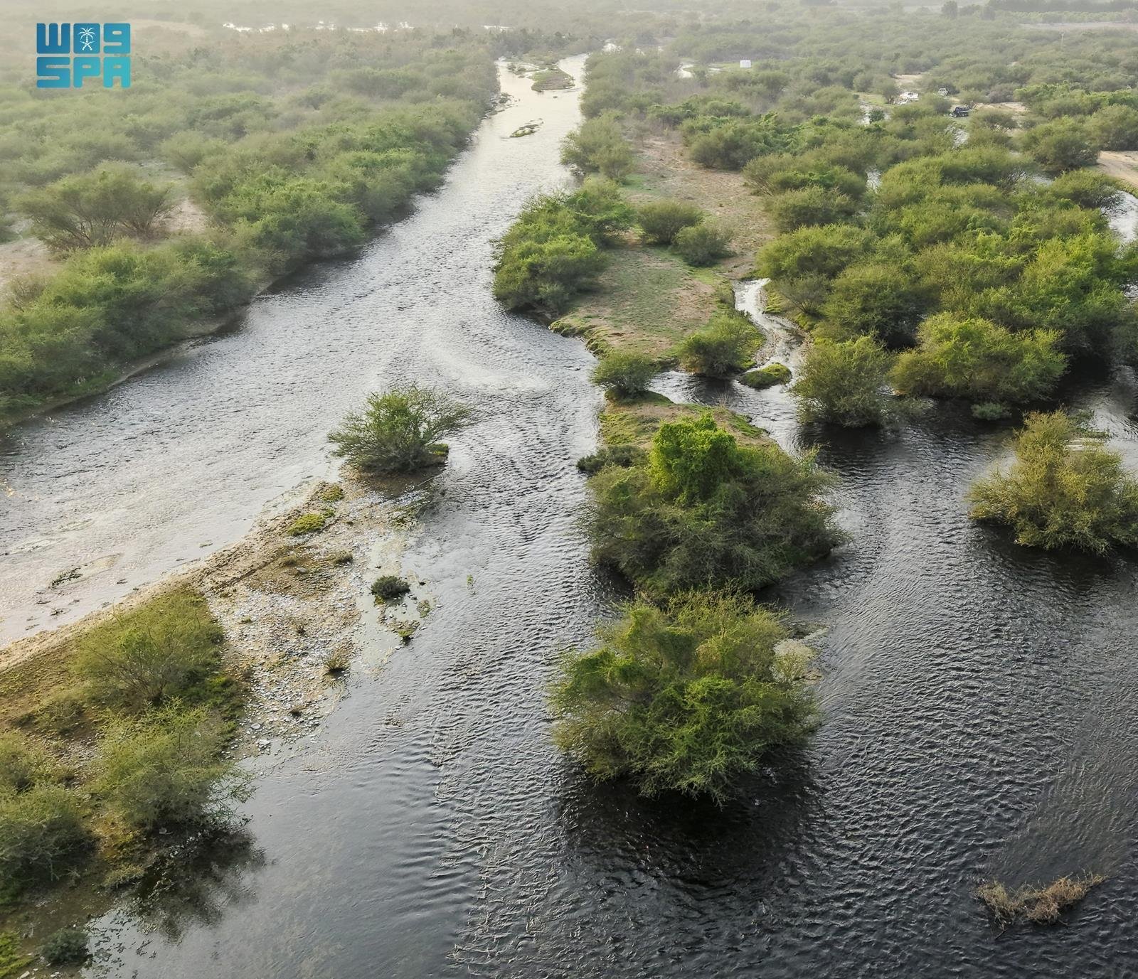 وادي حلي شريان تهامة المتدفق بالحياة #معكم_باللحظة 