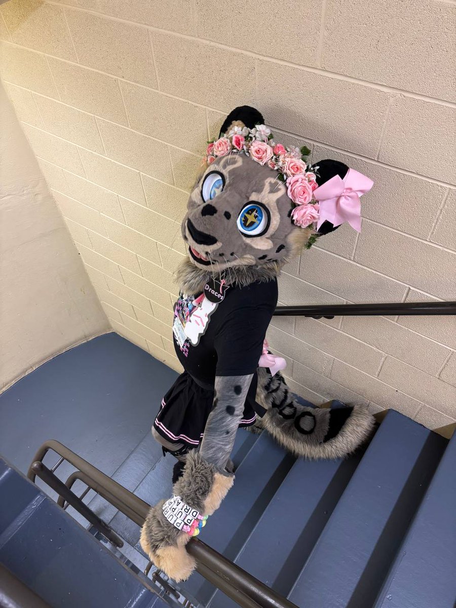 Draces tweet media