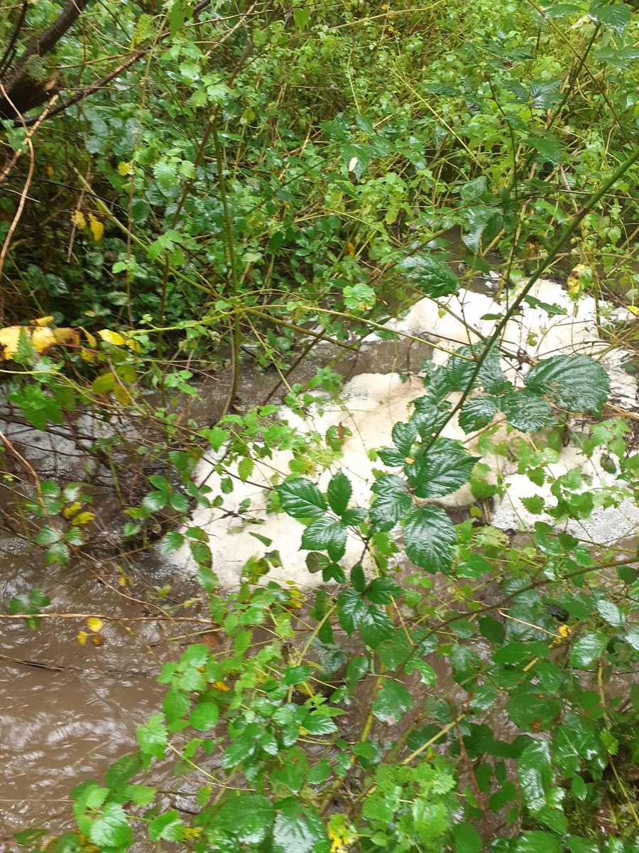CSNM9's tweet image. Certaines pollutions passeraient inaperçu sans la vigilance des riverains. Ici le ruisseau d'Arzal (56) par le Moulin de Kerollet, le 9/10/2024
#methanisation #renewableenergy #energierenouvelable #greenwashing #methaneemissions