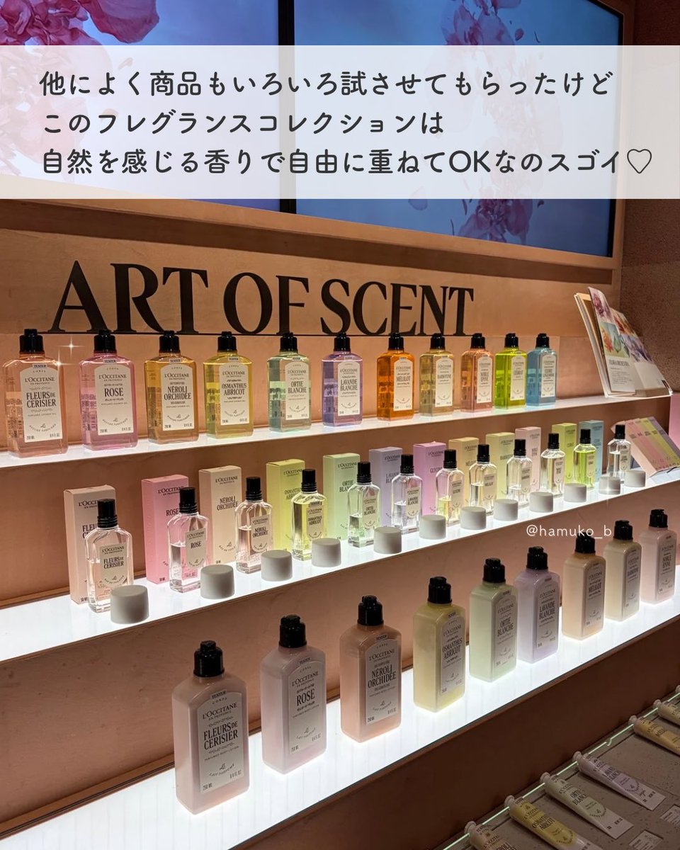 はむこ (@hamuko_b) / Posts / X