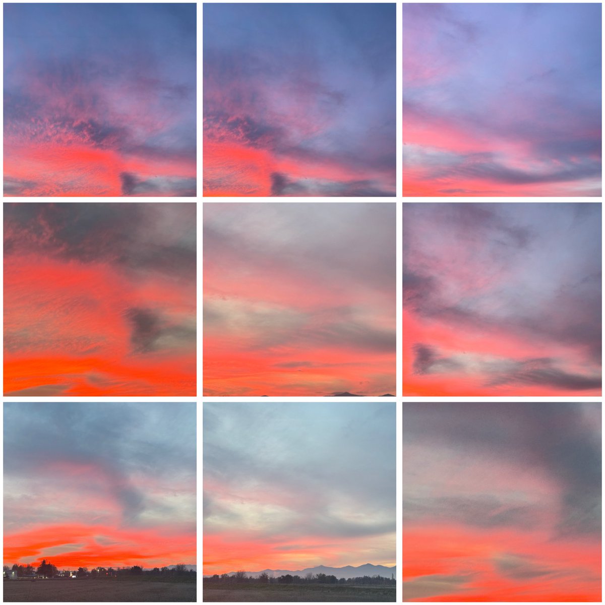 Dawn Bryant tweet media