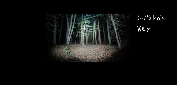 anyone else remember a game that was like this?? someone made a whole youtube video playing and explaining and i cannot find it somehow 💔