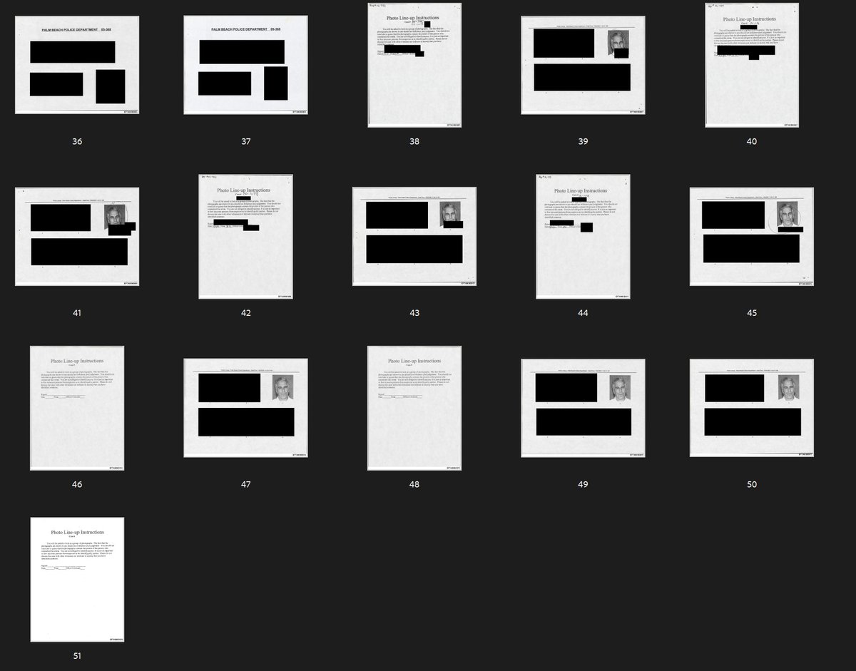Das kannste dir nicht ausdenken

Wie absurd viel von Trumps Team geschwärzt wurde