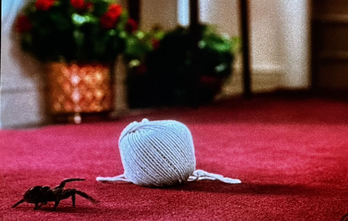 Tiffany Michelle tweet media