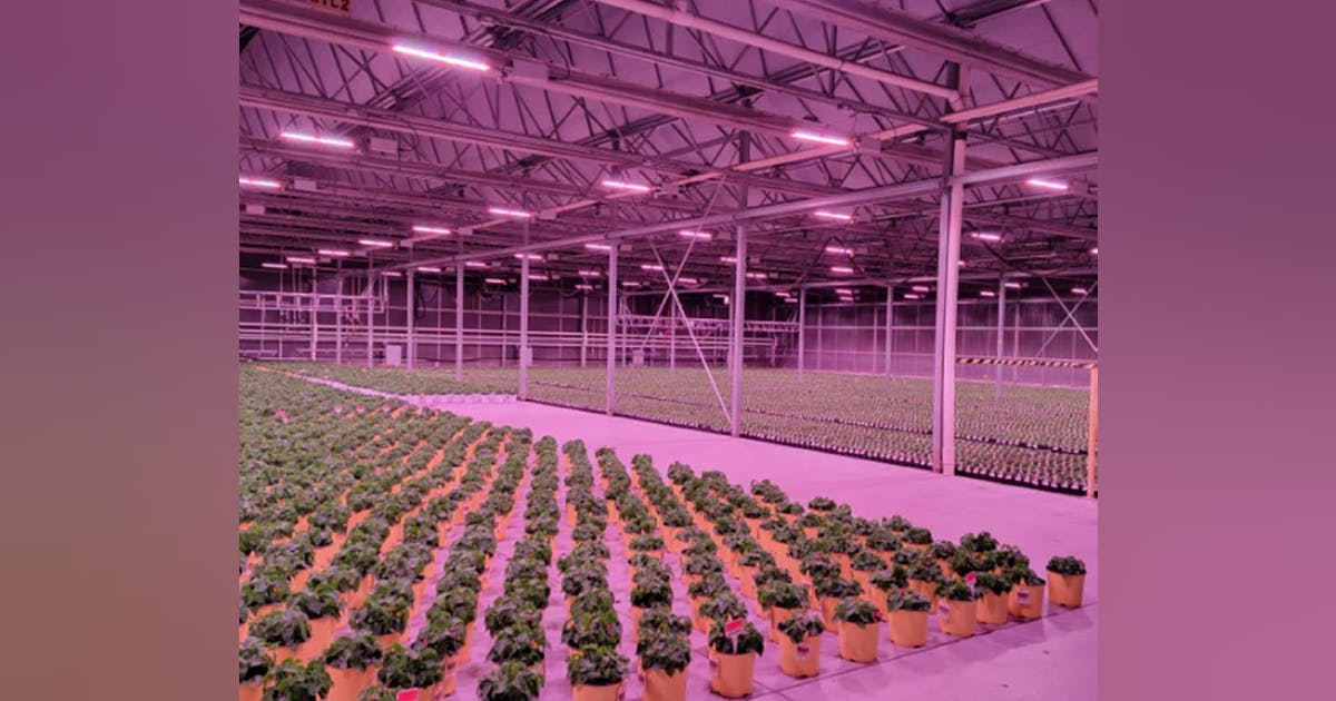 opto22's tweet image. From @ControlGlobal: Costa Farms grows with Ethernet-based I/O and Node-RED: op22.co/3N6rgxU #groovRIO #NodeRED