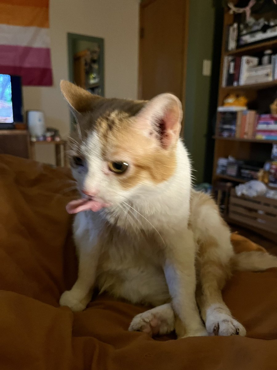 norberg & co tweet media