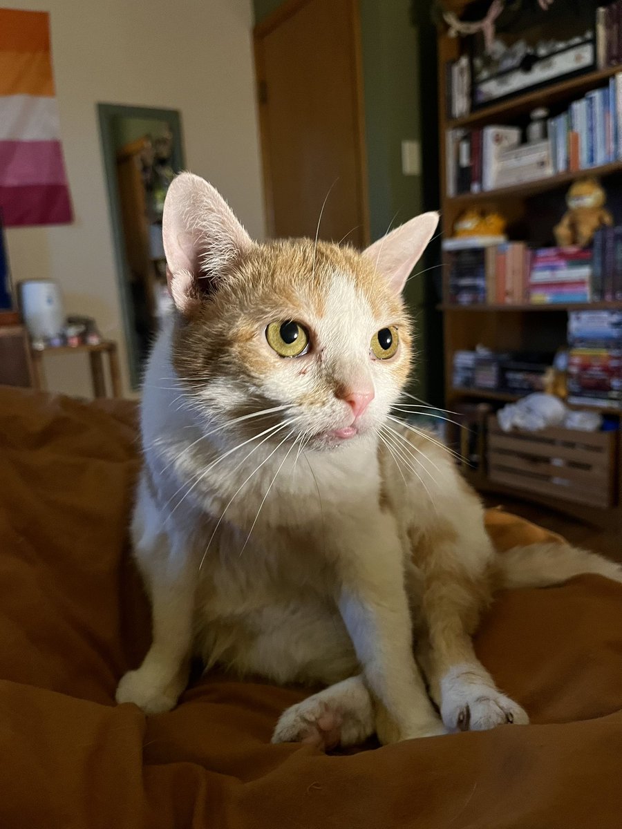 norberg & co tweet media