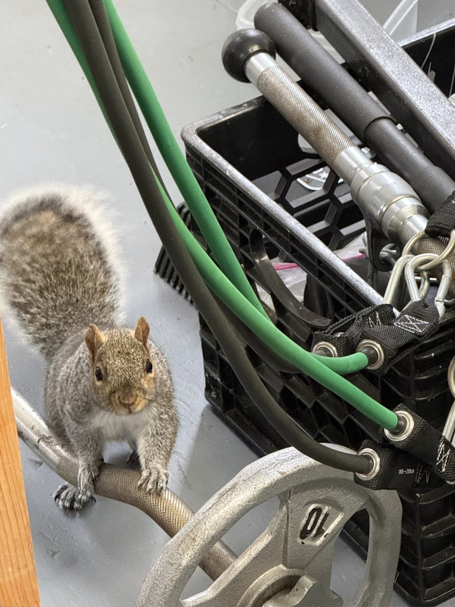 SMedia212 (@smedia212) on Twitter photo 