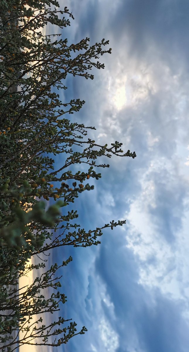 نبيه (@mohamednabih72) on Twitter photo 