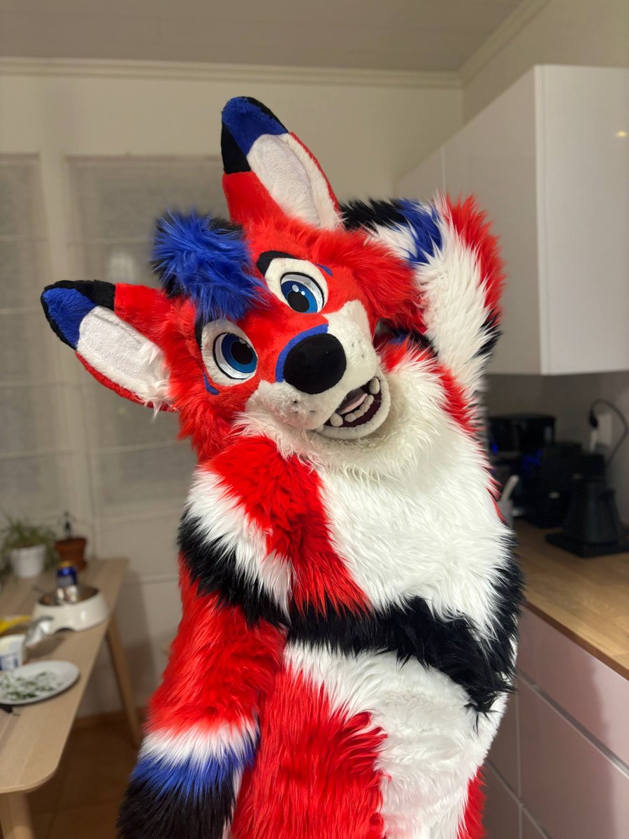 mickelraven's tweet photo. My body suit made its debut sooner than expected! I took my full fursuit for a test drive and went to a chili furmeet the other day. The food was really good! Yum! 
#Furry #FurryFandom #Fursuit #FoxFursuit #DigitigradeFursuit #Mickelraven https://t.co/B1QFtWhA5w