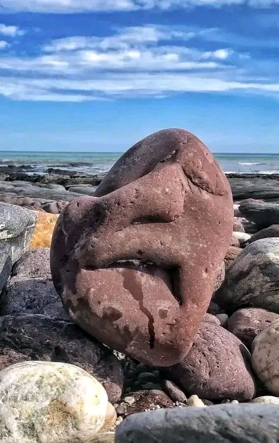 Küçük bir siyasi parti genel başkanı
2025 Bursa