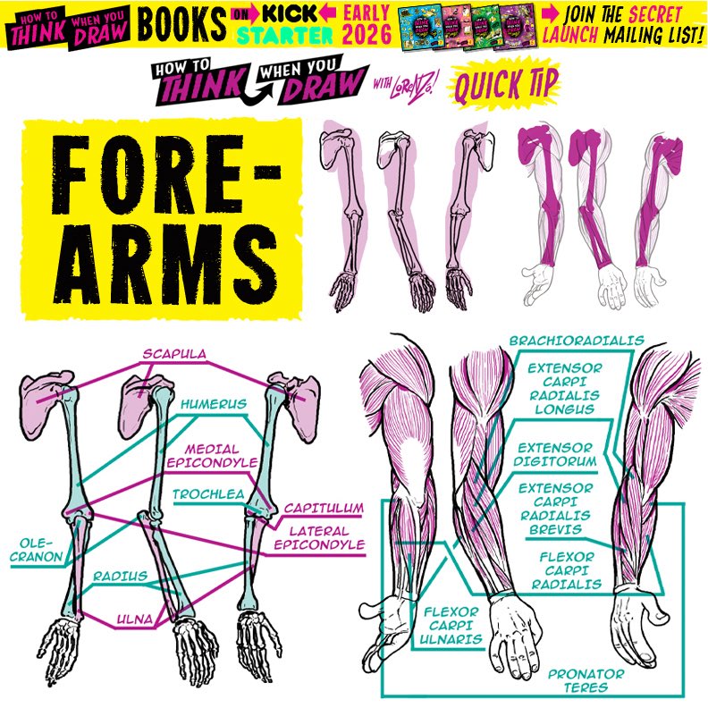 EtheringtonBros's tweet photo. FOREARMS! To get the FREE monthly How to THINK When You draw digital MAGAZINE, (including NEW tutorials, a YEAR before they appear online) just tap the link in the bio HERE:  @etheringtonbros
PLUS! Tutorials BOOKS on KICKSTARTER in EARLY 2026!
#anime #manga #conceptart #gamedev https://t.co/8XOLo509CR