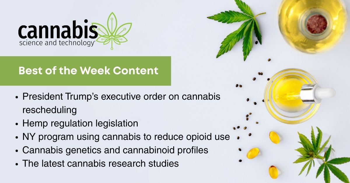 Cannabis Science & Technology tweet media