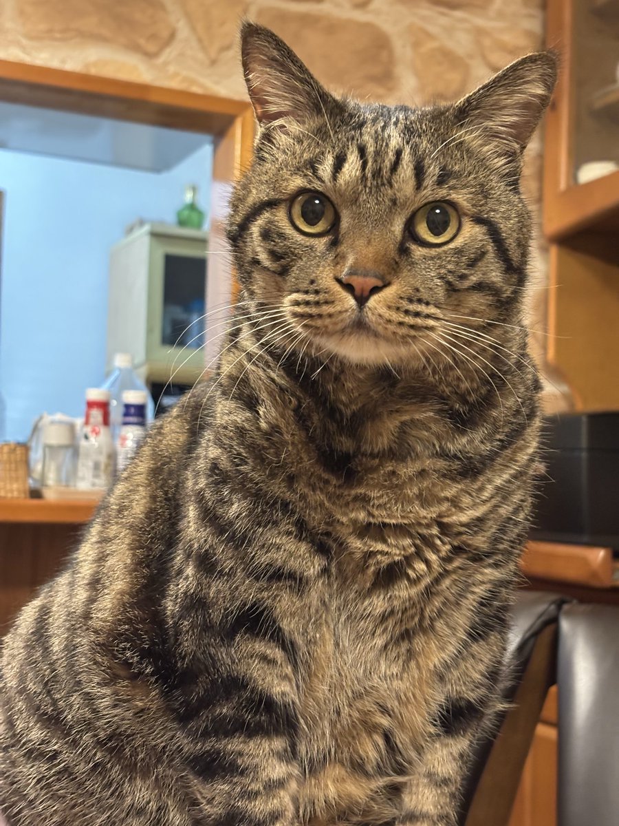 ♪虎ちゃん、おはようございますニャ😊