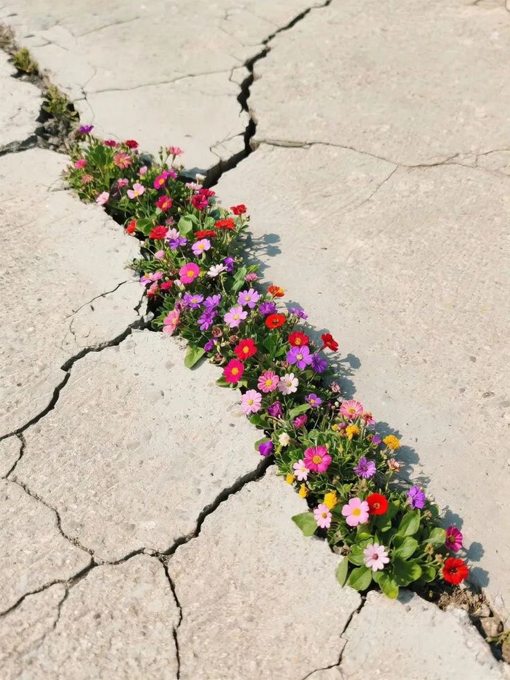 ᅠ ᅠ (@greendreaams) on Twitter photo 