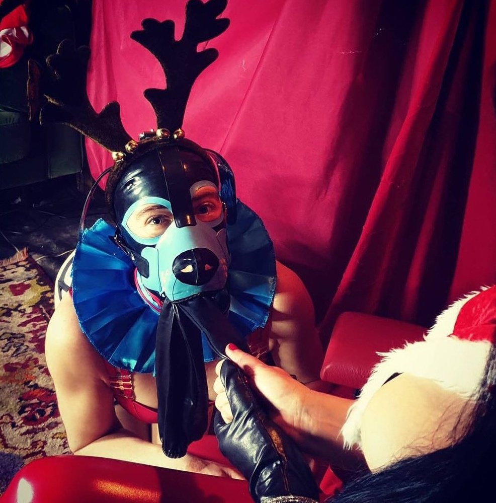 Spoil a subgirl this Christmas 
🐾🩵🎄 🎁 
throne.com/alexiagasp 
 🐾🩵🎄🎁