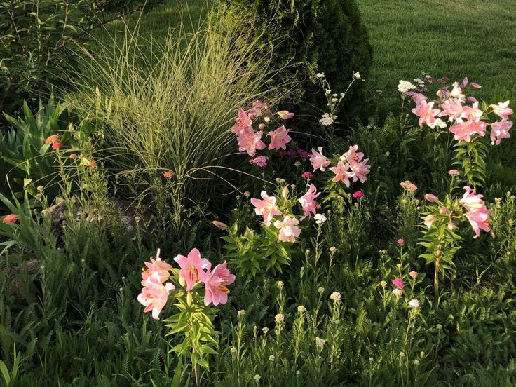 greenvibe's tweet image. 