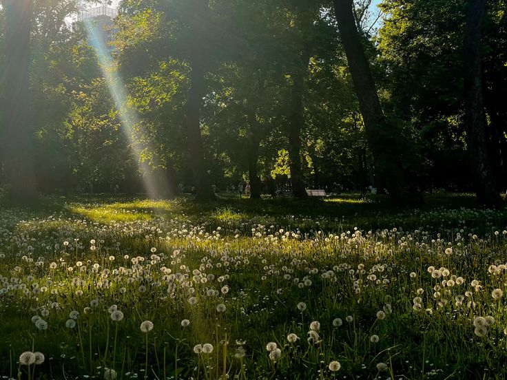 greenvibe's tweet image. 