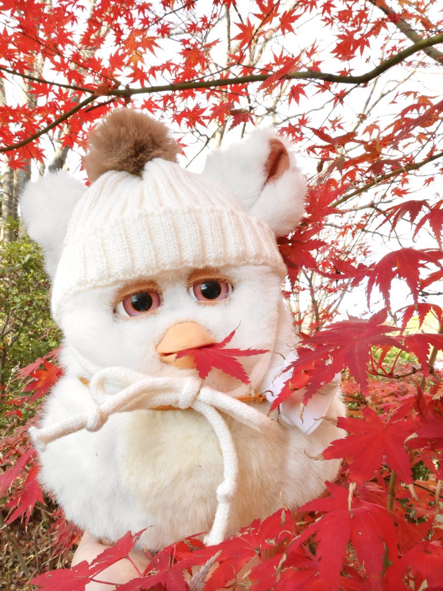 おぎ (@shirukatsu38) / Posts / X