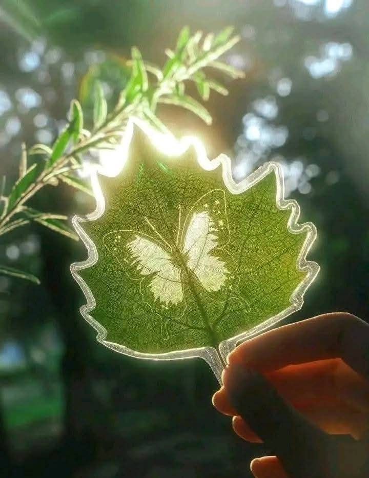 ᅠ ᅠ (@greendreaams) on Twitter photo 