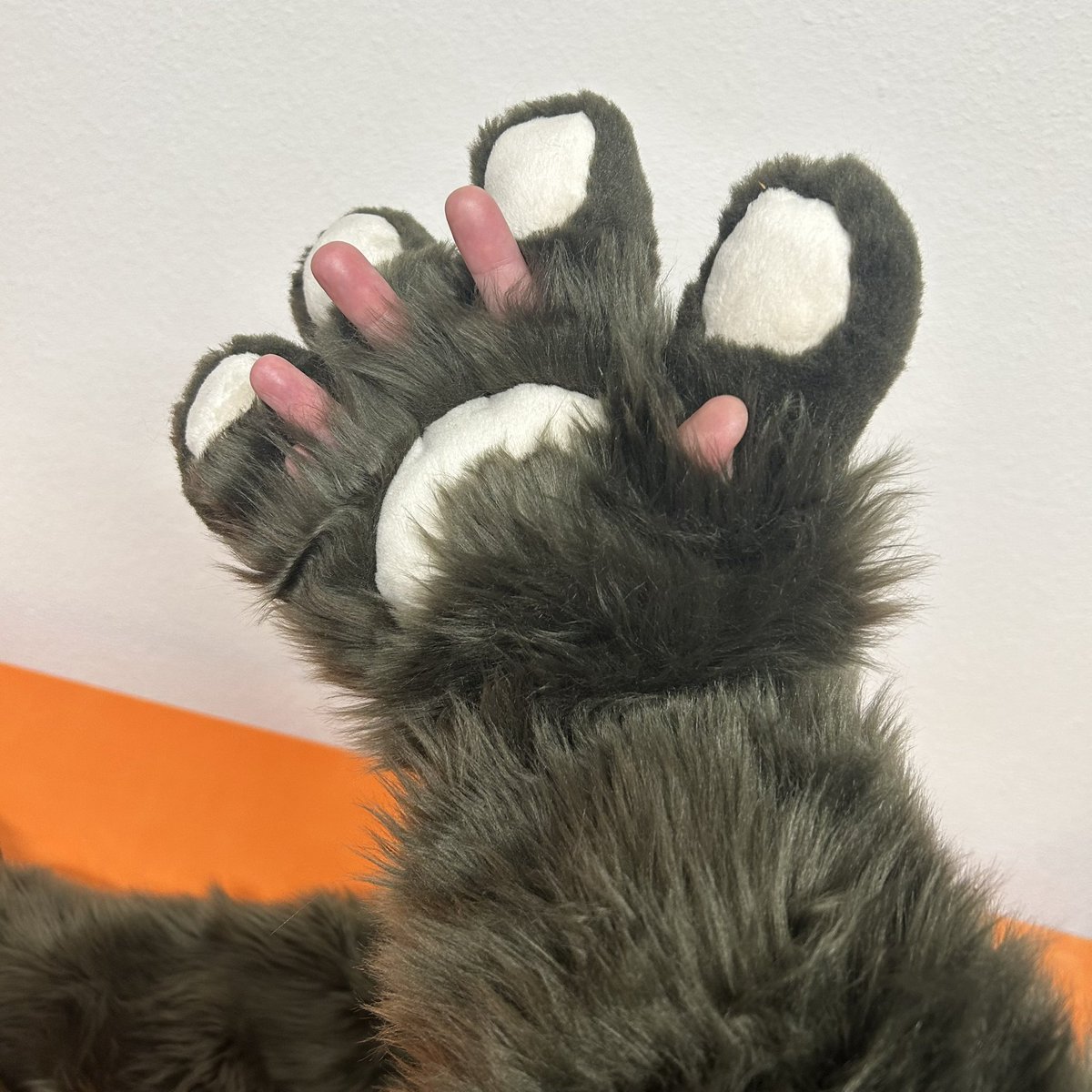 AlphasRedMoon's tweet image. Long gloves ready to go! With finger openings and a short lining. 🐺🇨🇭🪡🧵🇫🇷

#fursuit #fursuiter #fursuitmaker #fursuiting #fursuitwip #fur #furryfandom #furrys #furryswiss #alphasredmoon #commission #furries #furries4life #furrypride