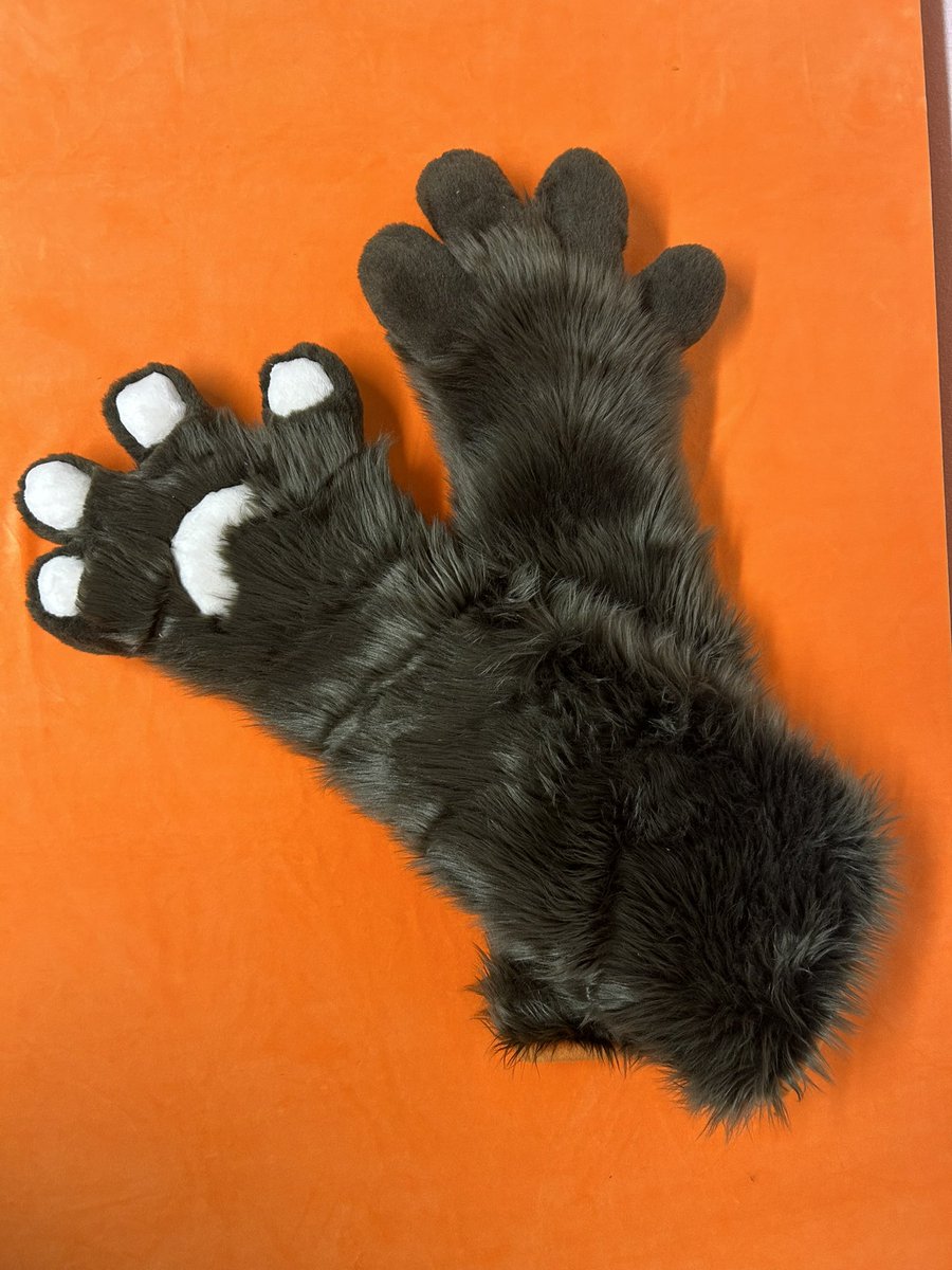 AlphasRedMoon's tweet image. Long gloves ready to go! With finger openings and a short lining. 🐺🇨🇭🪡🧵🇫🇷

#fursuit #fursuiter #fursuitmaker #fursuiting #fursuitwip #fur #furryfandom #furrys #furryswiss #alphasredmoon #commission #furries #furries4life #furrypride